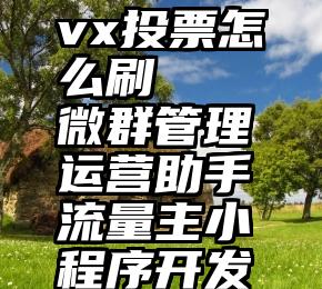 vx投票怎么刷   微群管理运营助手流量主小程序开发