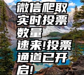 微信爬取实时投票数量   速来!投票通道已开启!