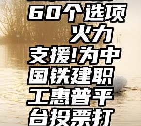 微信投票60个选项   火力支援!为中国铁建职工惠普平台投票打Call