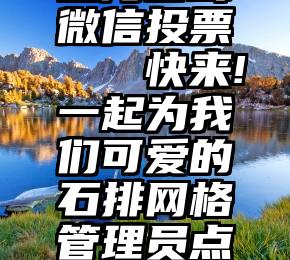 上海盲聋微信投票   快来!一起为我们可爱的石排网格管理员点赞投票