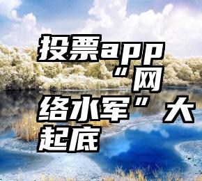 投票app   “网络水军”大起底