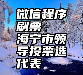 微信程序刷票   海宁市领导投票选代表