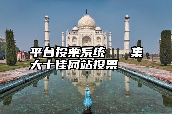 平台投票系统   集大十佳网站投票