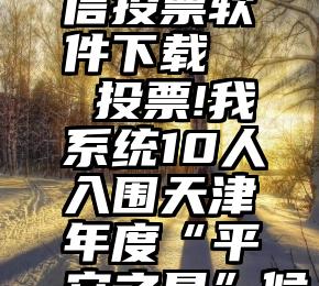 好用的微信投票软件下载   投票!我系统10人入围天津年度“平安之星”候选人