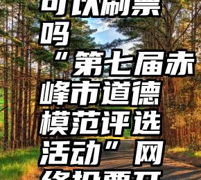 微信投票可以刷票吗   “第七届赤峰市道德模范评选活动”网络投票开始啦!