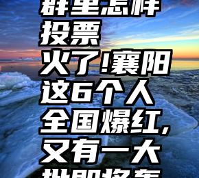 手机微信群里怎样投票   火了!襄阳这6个人全国爆红,又有一大批即将轰动全城……