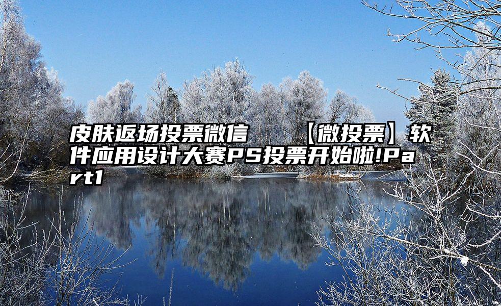 皮肤返场投票微信   【微投票】软件应用设计大赛PS投票开始啦!Part1