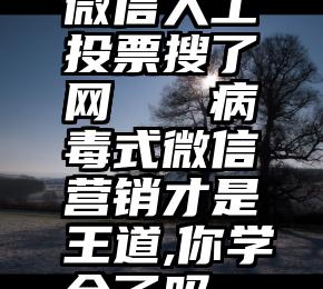 微信人工投票搜了网   病毒式微信营销才是王道,你学会了吗