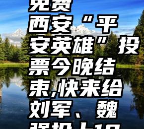 投票刷票免费   西安“平安英雄”投票今晚结束,快来给刘军、魏强投上10票!