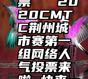 中国家庭微信群投票   2020CMTC荆州城市赛第一组网络人气投票来啦~快来一览选手魅力风...