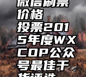 微信刷票价格   投票2015年度WXCOP公众号最佳干货评选