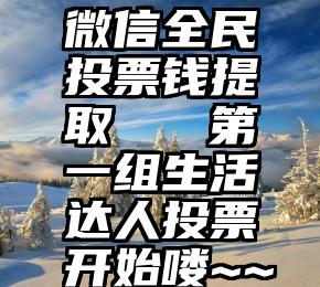 微信全民投票钱提取   第一组生活达人投票开始喽~~