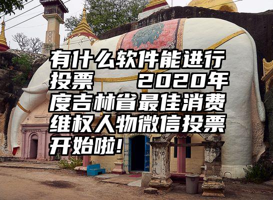 有什么软件能进行投票   2020年度吉林省最佳消费维权人物微信投票开始啦!