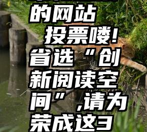 帮忙投票的网站   投票喽!省选“创新阅读空间”,请为荣成这3处投票