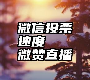 微信投票速度   微赞直播