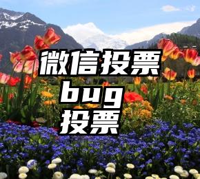 微信投票 bug   投票