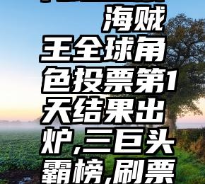 代理投票   海贼王全球角色投票第1天结果出炉,三巨头霸榜,刷票太简单