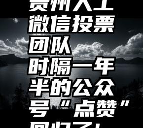 贵州人工微信投票团队   时隔一年半的公众号“点赞”回归了!