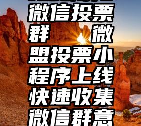 免费南阳微信投票群   微盟投票小程序上线快速收集微信群意见