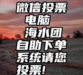 微信投票 电脑   海水团自助下单系统请您投票!