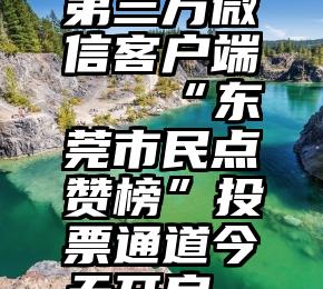 第三方微信客户端   “东莞市民点赞榜”投票通道今天开启