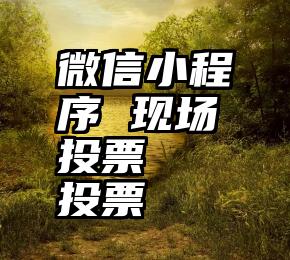 微信小程序 现场投票   投票