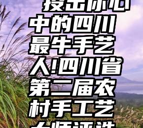 专业微信投票群   投出你心中的四川最牛手艺人!四川省第二届农村手工艺大师评选网络投票启动