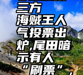 微信公众号投票第三方   海贼王人气投票出炉,尾田暗示有人“刷票”,直指罗宾和加洛特