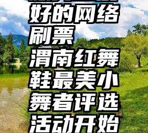 服务态度好的网络刷票   渭南红舞鞋最美小舞者评选活动开始了!