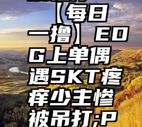 微信刷投票程序   【每日一撸】EDG上单偶遇SKT疼痒少主惨被吊打;PDD回应人气票选