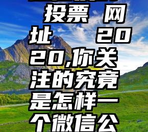 微信发的 投票 网址   2020,你关注的究竟是怎样一个微信公众平台
