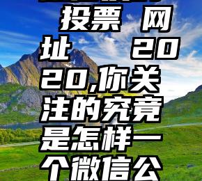 微信发的 投票 网址   2020,你关注的究竟是怎样一个微信公众平台