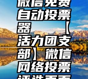 微信免费自动投票器   【活力团支部】微信网络投票评选页面