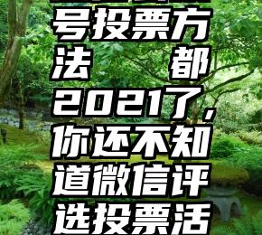 微信公众号投票方法   都2021了,你还不知道微信评选投票活动