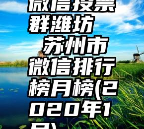 微信投票群潍坊   苏州市微信排行榜月榜(2020年1月)