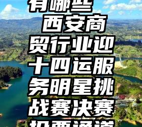 微信刷票有哪些   西安商贸行业迎十四运服务明星挑战赛决赛投票通道开启