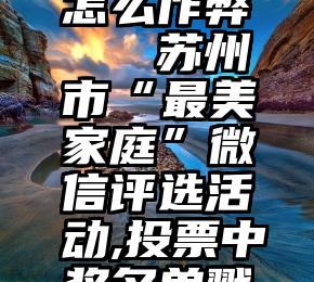 投票系统怎么作弊   苏州市“最美家庭”微信评选活动,投票中奖名单戳这里!