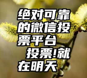 绝对可靠的微信投票平台   投票!就在明天