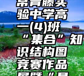 微信免费拉票   2020级常青藤实验中学高一(4)班“集合”知识结构图竞赛作品展暨“最具人气奖”网络投票平台