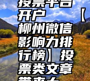 蓝族微信投票平台开户   【柳州微信影响力排行榜】投票类文章带来大“流量”