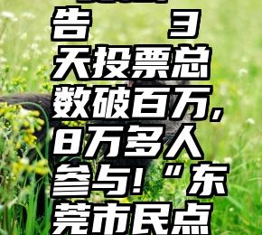 微信投票 变相广告   3天投票总数破百万,8万多人参与!“东莞市民点赞榜”火爆