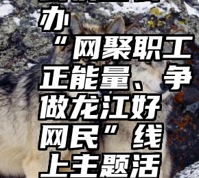 微信投票很快怎么办   “网聚职工正能量、争做龙江好网民”线上主题活动截止日期延长啦!