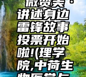 湖南省微信投票公司电话   微赞美·讲述身边雷锋故事投票开始啦!(理学院,中荷生物医学与信息工程学院,艺术学院)