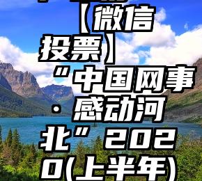 刷票哪个产品好   【微信投票】“中国网事·感动河北”2020(上半年)网络人物评选启...