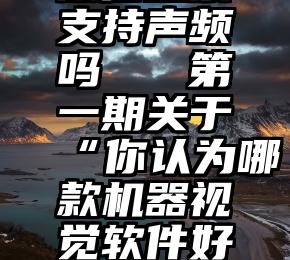 微信投票支持声频吗   第一期关于“你认为哪款机器视觉软件好用