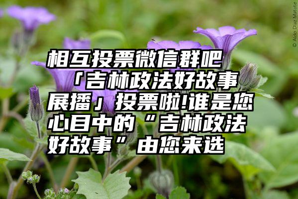 相互投票微信群吧   「吉林政法好故事展播」投票啦!谁是您心目中的“吉林政法好故事”由您来选