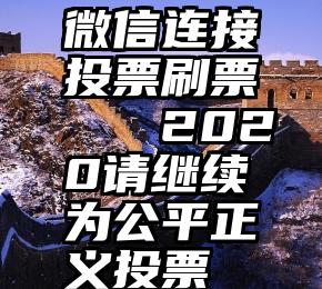 微信连接投票刷票   2020请继续为公平正义投票