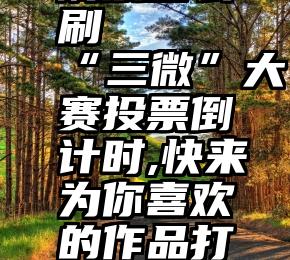 刷票怎么刷   “三微”大赛投票倒计时,快来为你喜欢的作品打Call!