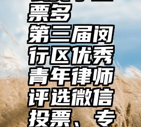 微信发什么文字投票多   第三届闵行区优秀青年律师评选微信投票、专业评审结果公示!