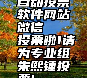 自动投票软件网站微信   投票啦I请为专业组朱熙锺投票!